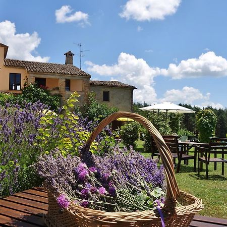 Agriturismo Monterosello Città di Castello Extérieur photo